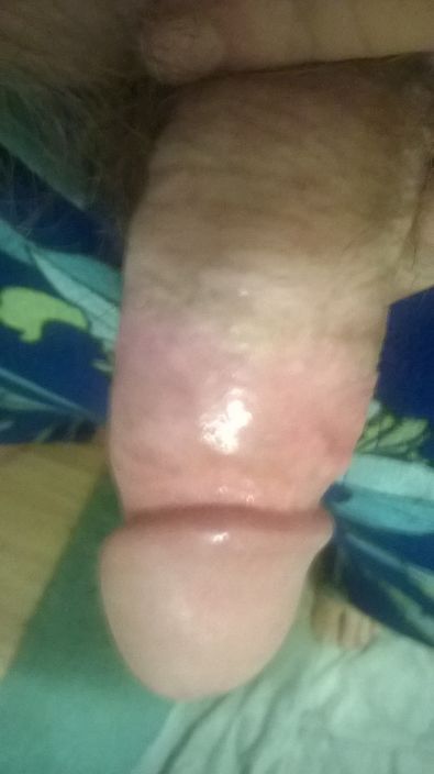 my cock