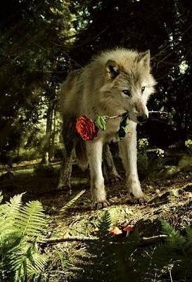 Ну мкак то так