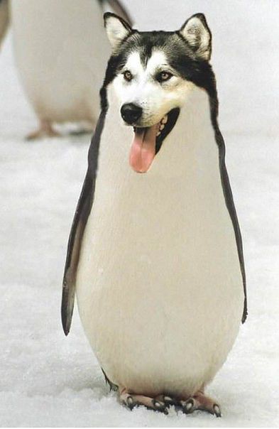 ноенлненене