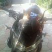 my biker-cat))