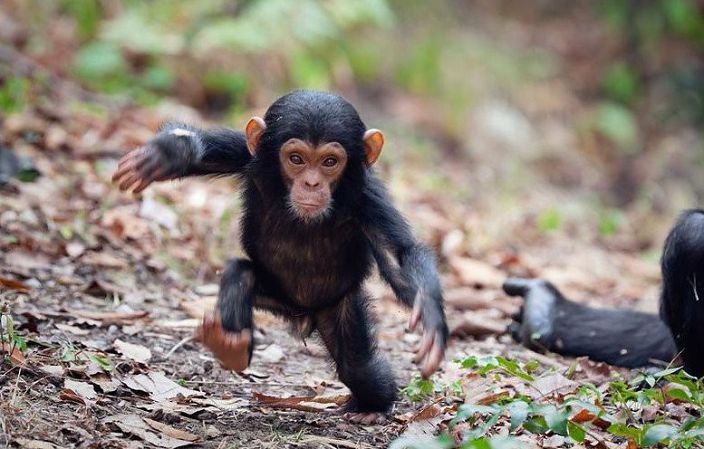 а это нет  это мой брат ))