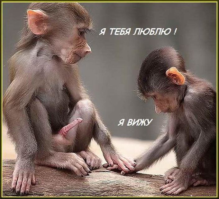 Всем привет