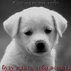 я такой....