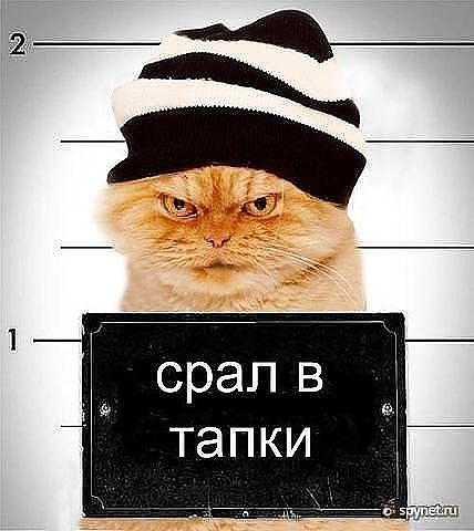 ну вот так