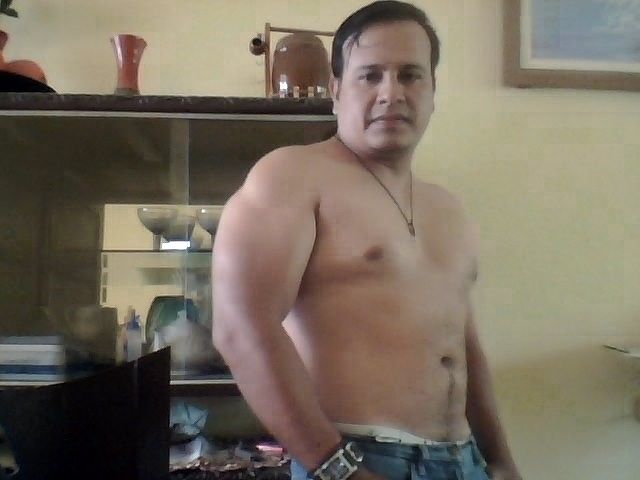 modelo