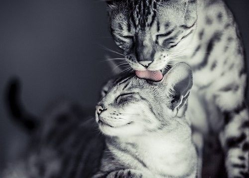 Просто фото