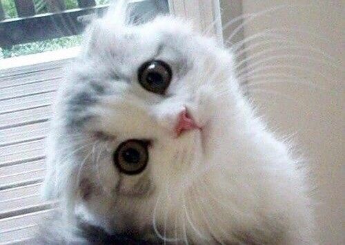 111111111