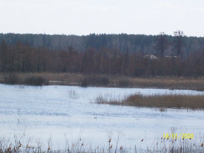 красота