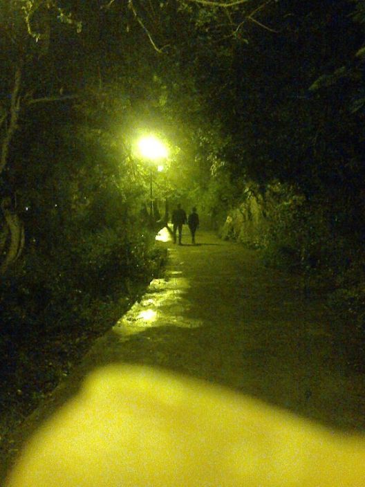 БЕЗУМНО  ЛЮБИТЬ  ХОЧУ