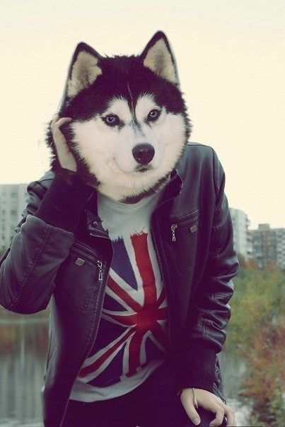 я  дома