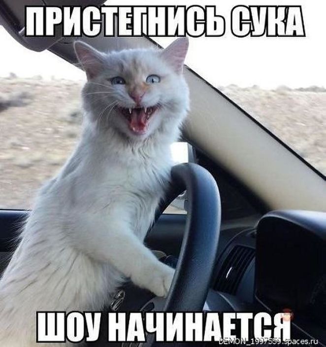 ауууууу вы где...