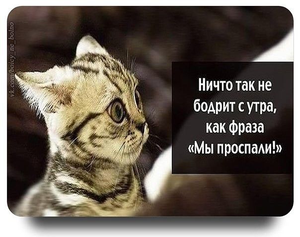 привет