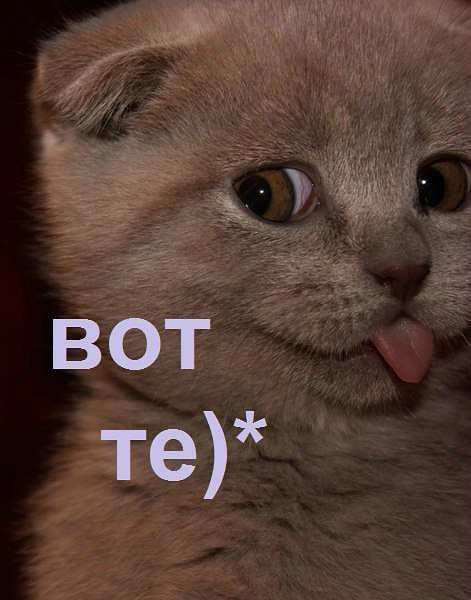 вот те