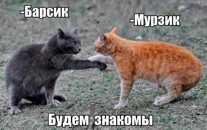 100