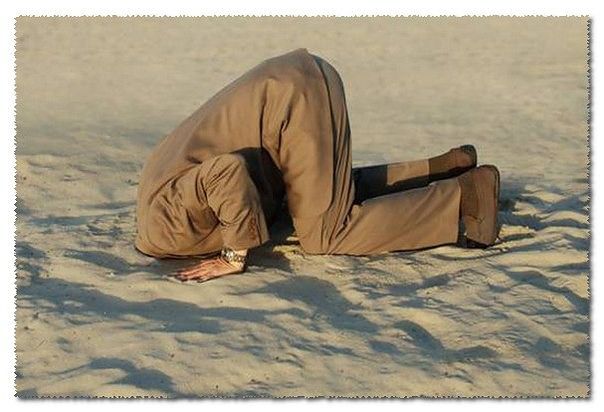 нипппппппппппппппп