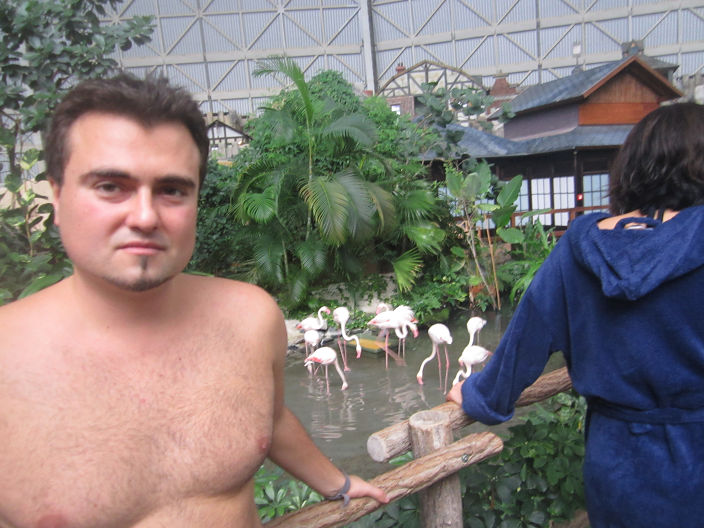 я в тропикал