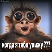 ха ха