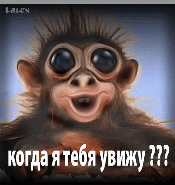 ха ха