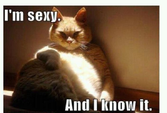 всегда готов