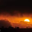 غروب الشمس في جزيرة سقطرى - تصوير عصام الصليحي