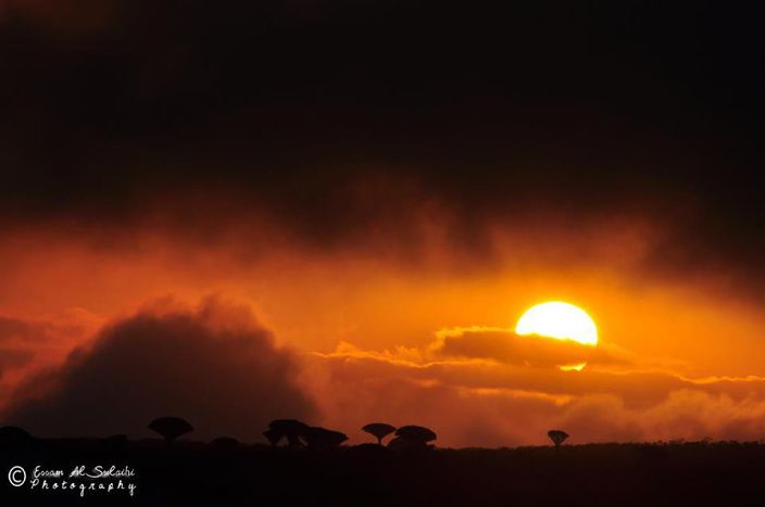 غروب الشمس في جزيرة سقطرى - تصوير عصام الصليحي