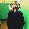 Воу-Воу)