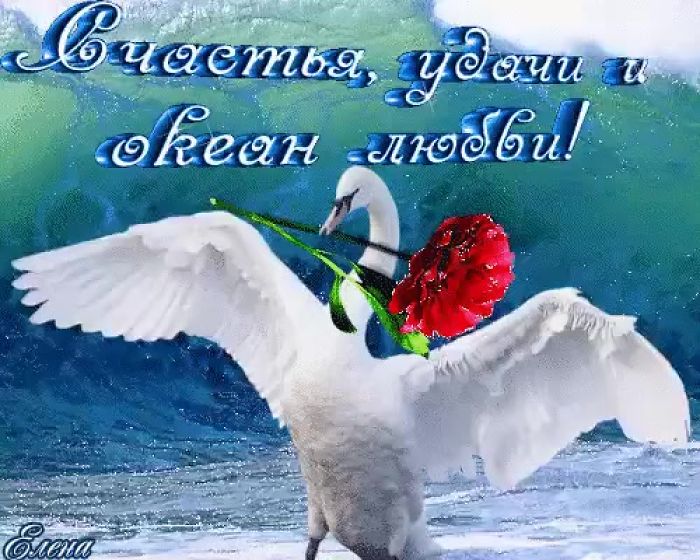 мир труд май