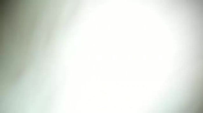 Молодая кобылка