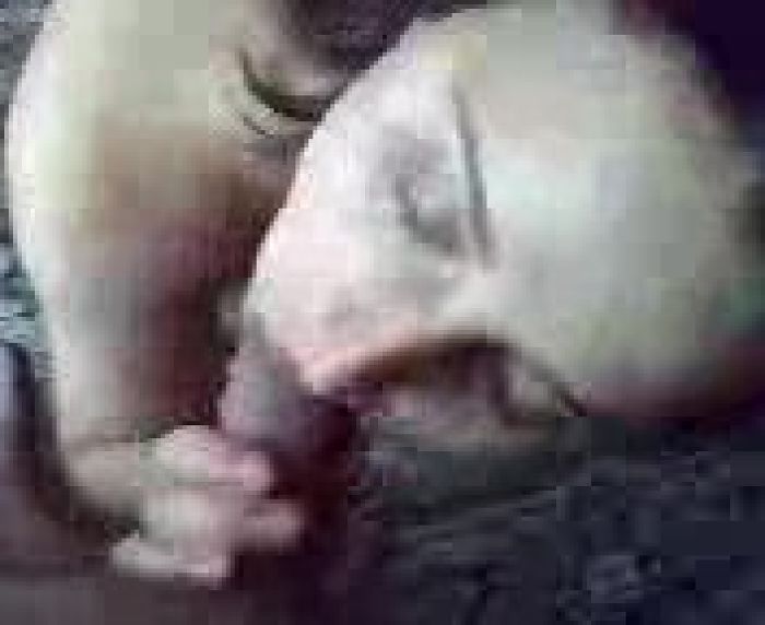 это было в 20 веке!