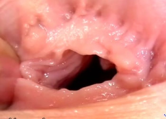 БЛЯДСКИЙ ПОТРОХ