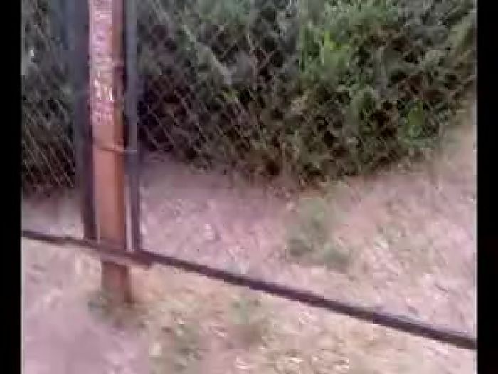 эксгибиционист позирует и дрочит при девущках