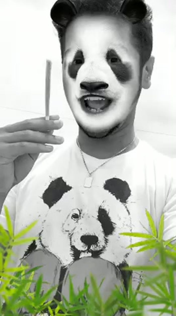 Panda J
