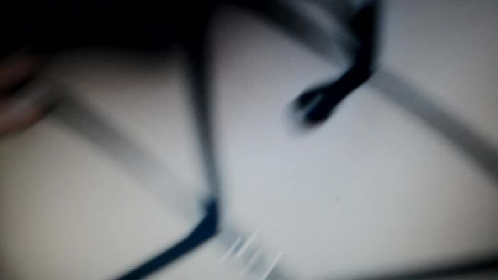 Мы и наша подружка)