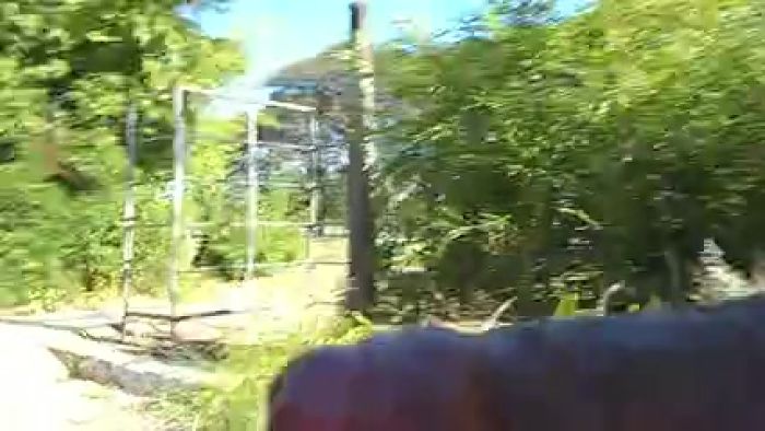 на парковке