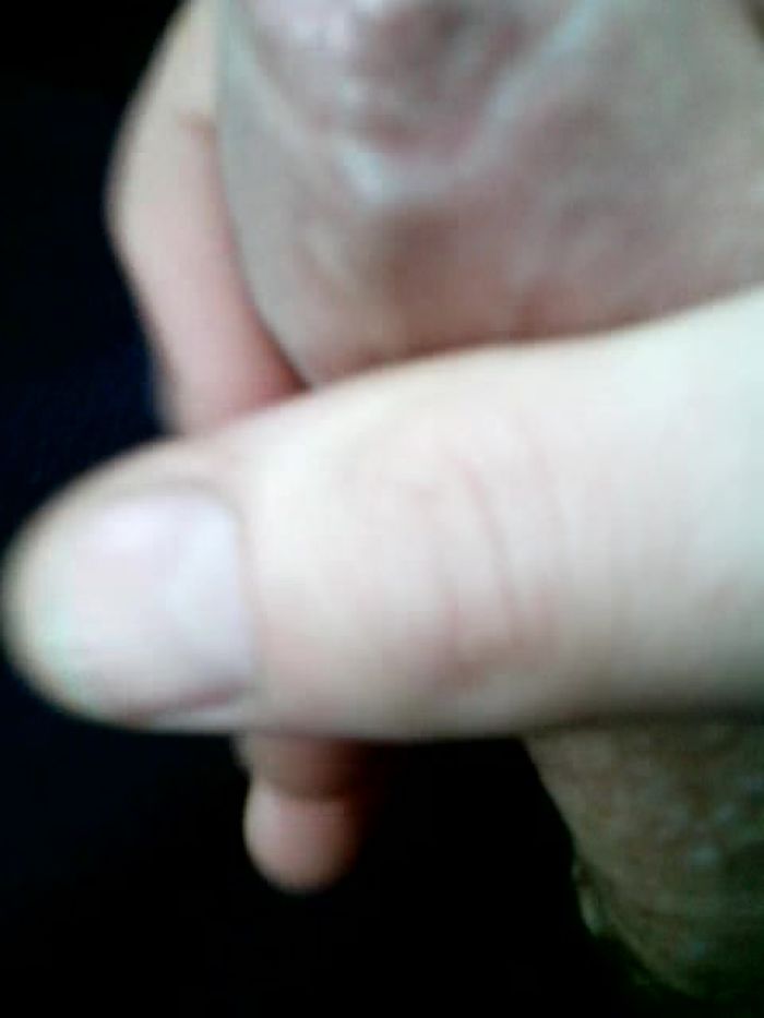 Решил погладить