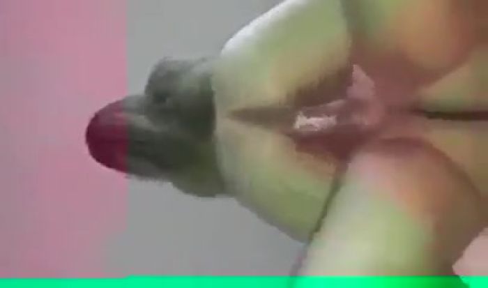 skype>>> obdaren.fraer