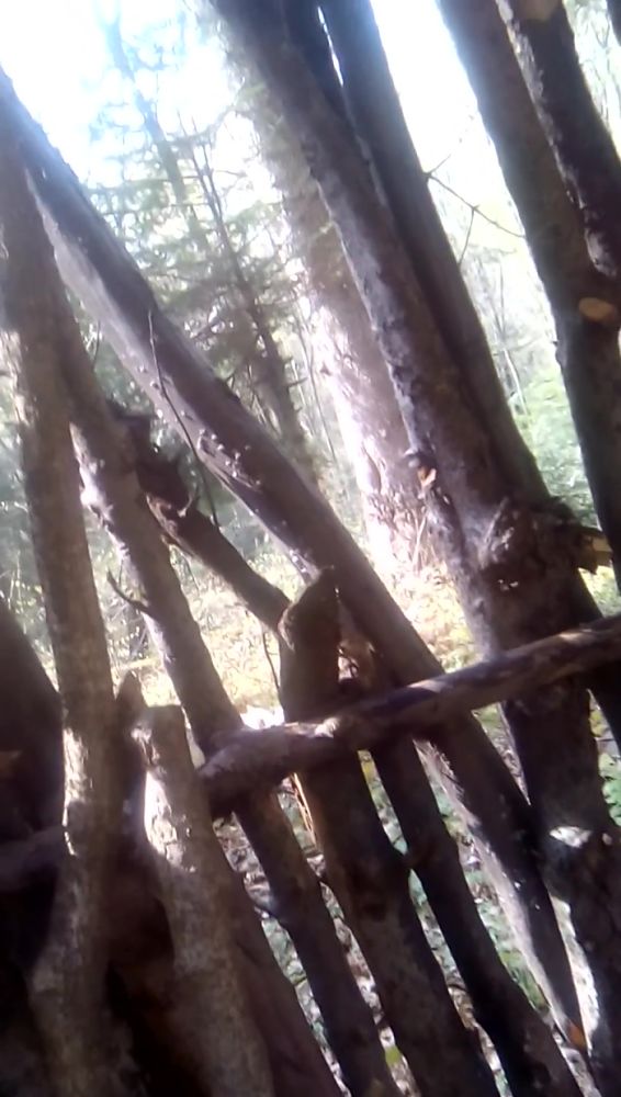 Ищу актива в трускавце