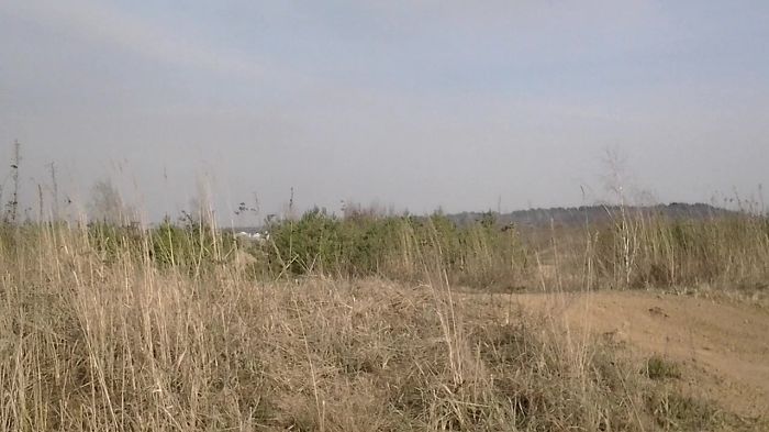 подготовка к соревновавниям