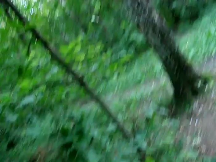 Blonde girlfriend sucks outdoors